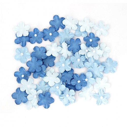 Цветчета, Незабравки в Синьо, 50 Броя Цветчета, Незабравки в Синьо, 50 Броя