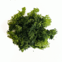 Скандинавски Мъх, 50 гр., Зелен Цвят