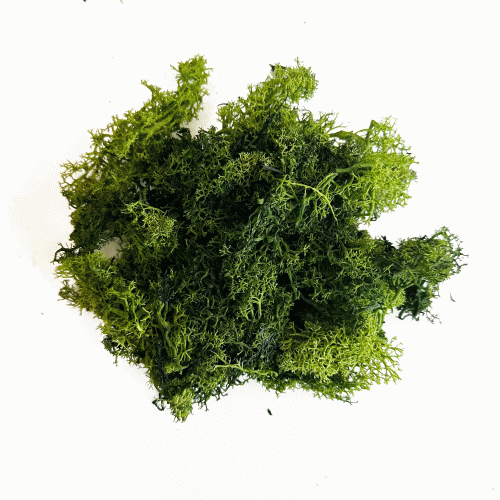 Скандинавски Мъх, 50 гр., Зелен Цвят Скандинавски Мъх, 50 гр., Зелен Цвят